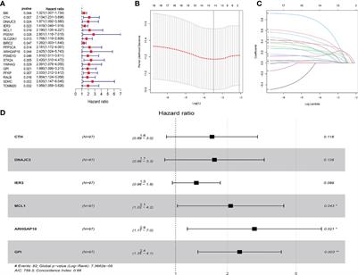 Identification and Validation of an Apoptosis-Related Gene Prognostic Signature for Oral Squamous Cell Carcinoma